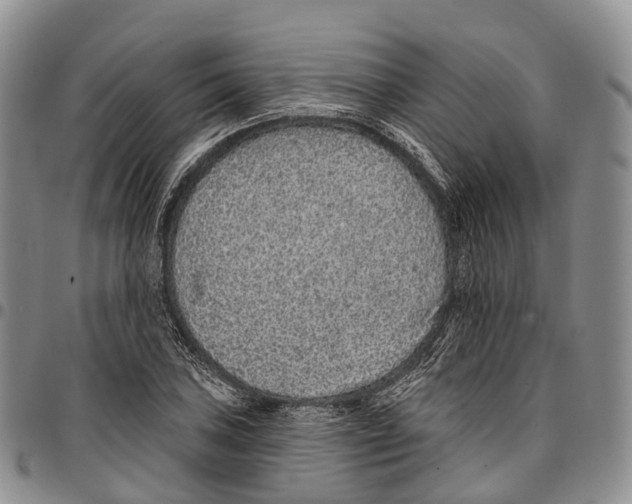 X0000096711027200803041336