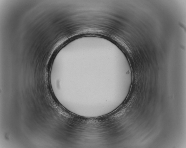 X0000096711029200803041336