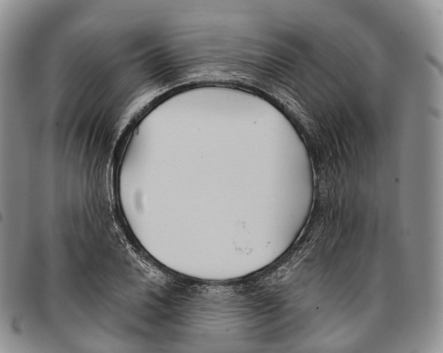 X0000096711030200803041336