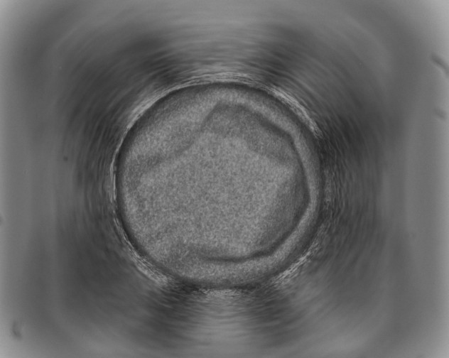 X0000096711031200803041336