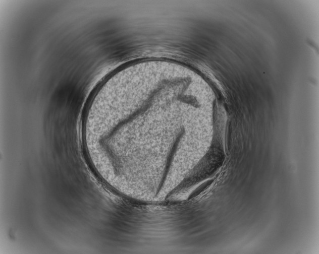 X0000096711032200803041337