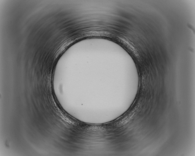 X0000096711033200803041337