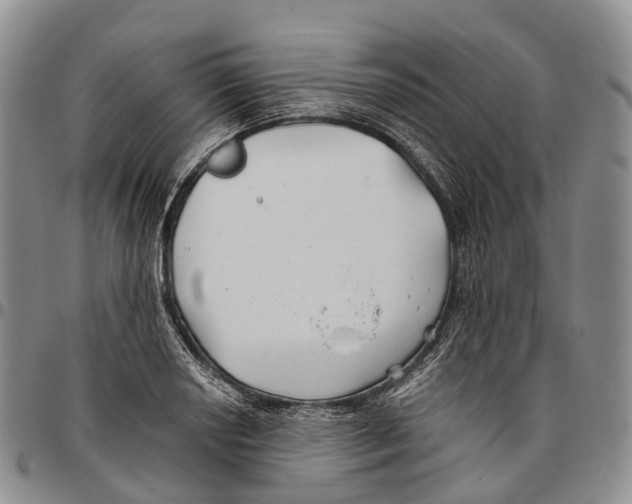 X0000096711034200803041337