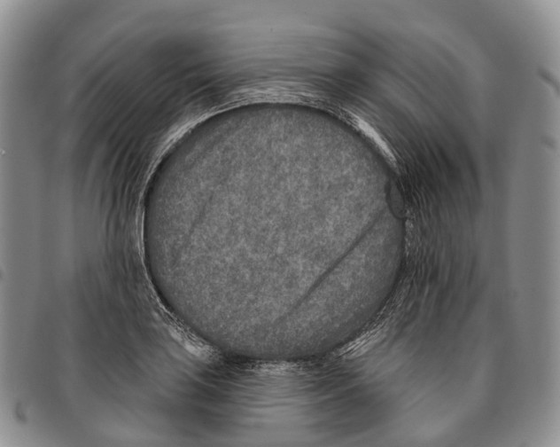 X0000096711035200803041337