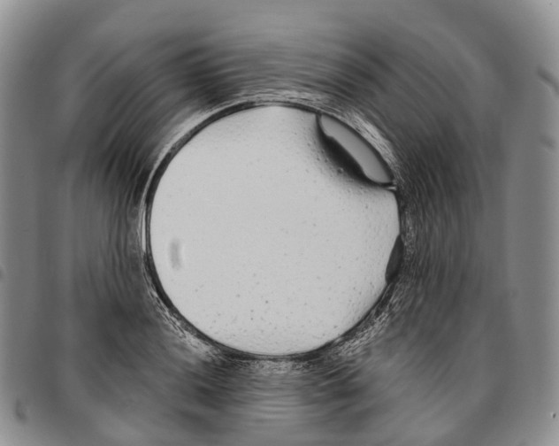 X0000096711036200803041337