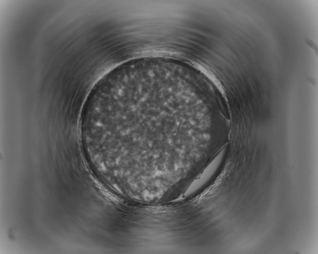 X0000096711037200803041337