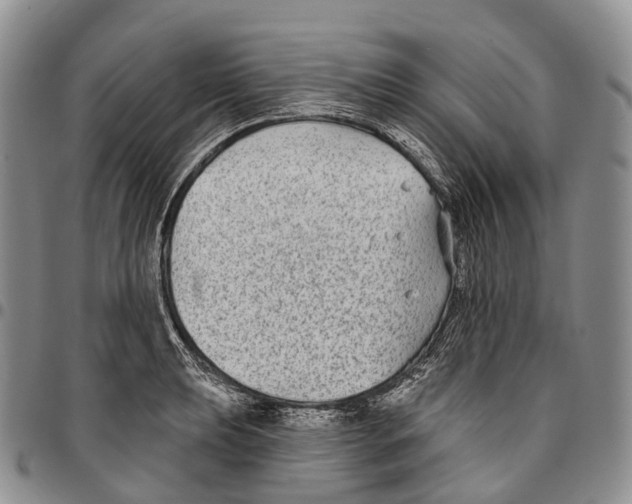 X0000096711039200803041337