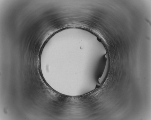 X0000096711040200803041337