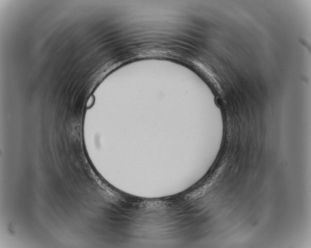 X0000096711041200803041337