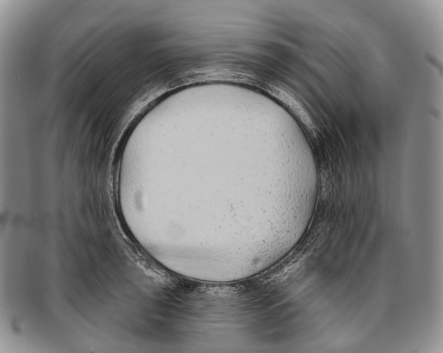 X0000096711043200803041337