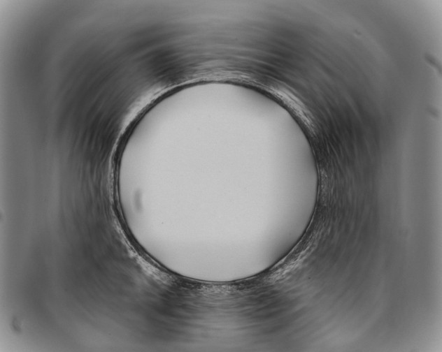 X0000096711046200803041337