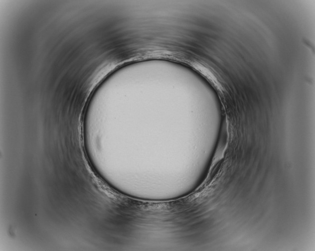 X0000096711047200803041337