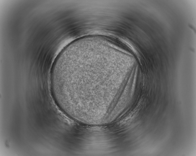 X0000096711048200803041337