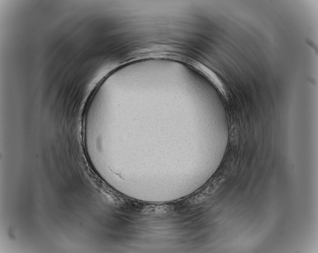 X0000096711051200803041337