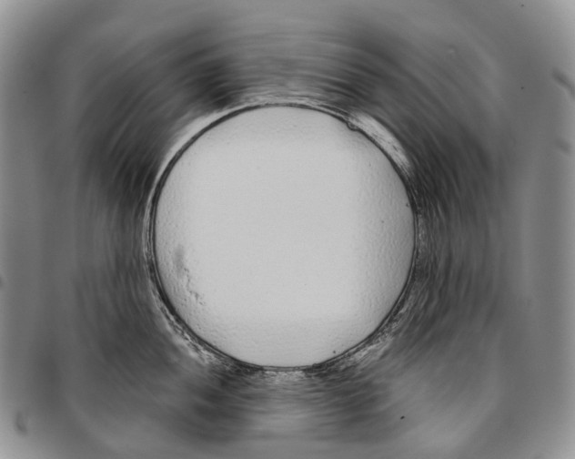 X0000096711052200803041337