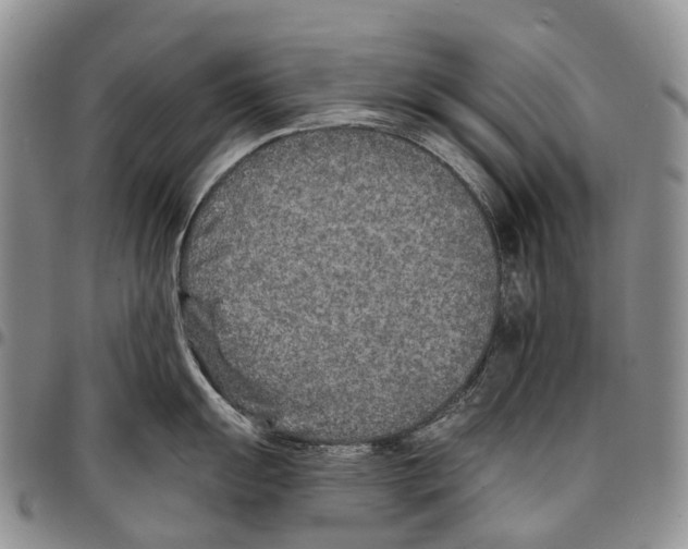 X0000096711055200803041337