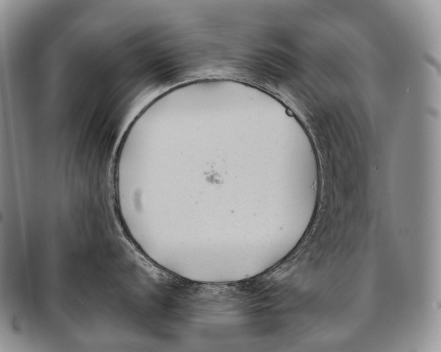 X0000096711056200803041337