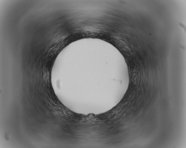 X0000096711061200803041336