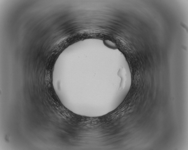 X0000096711062200803041336