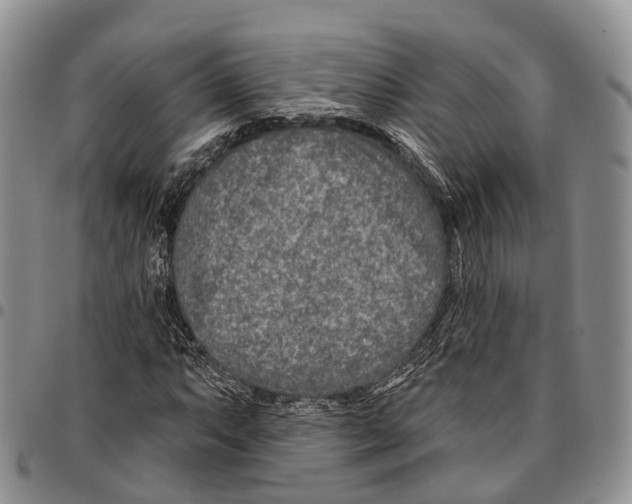 X0000096711063200803041336