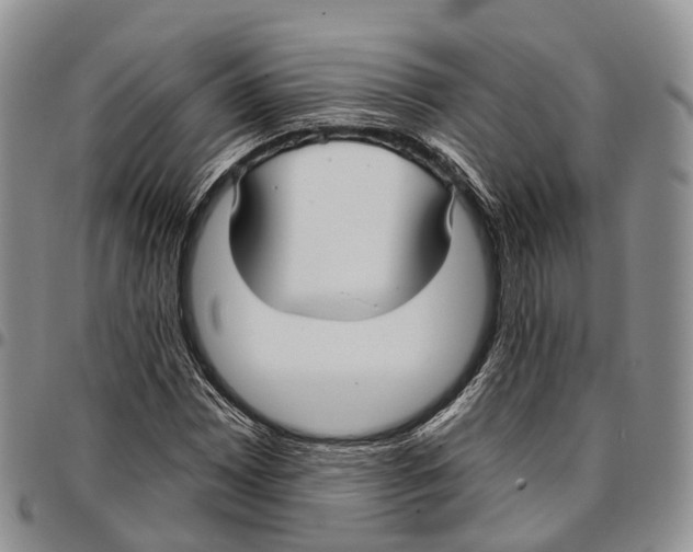 X0000096711065200803041336