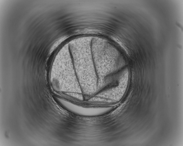 X0000096711066200803041336