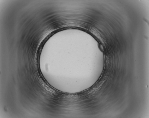 X0000096711068200803041336