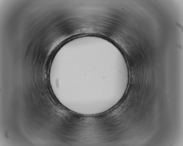 X0000096711070200803041336