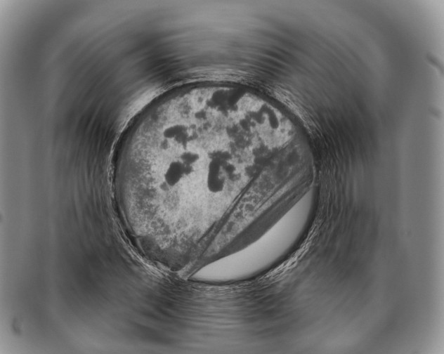 X0000096711071200803041336