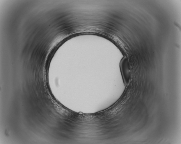 X0000096711072200803041336