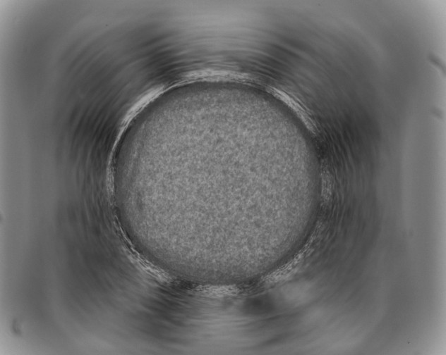 X0000096711074200803041336