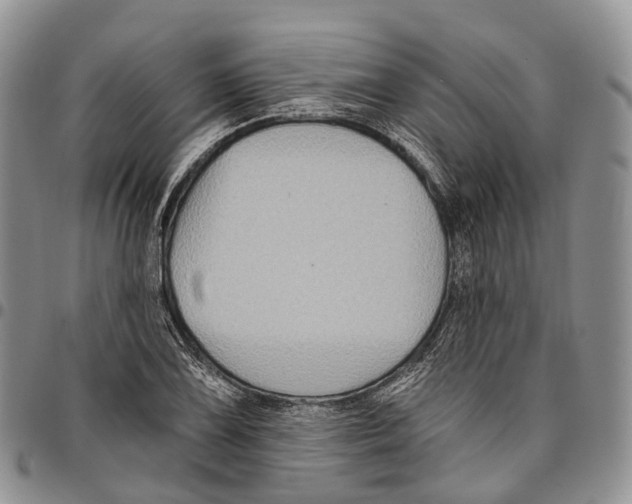 X0000096711075200803041336