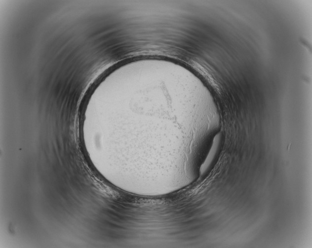 X0000096711076200803041336