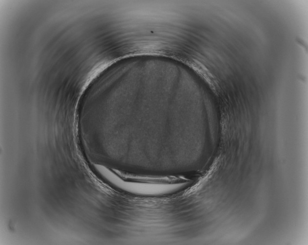 X0000096711077200803041336