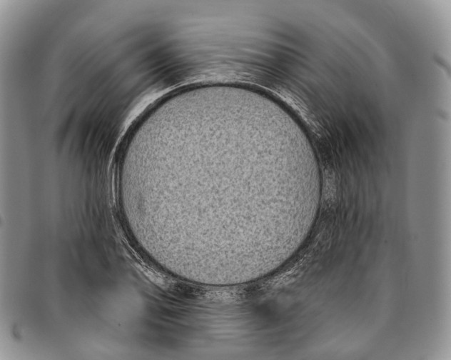 X0000096711078200803041336