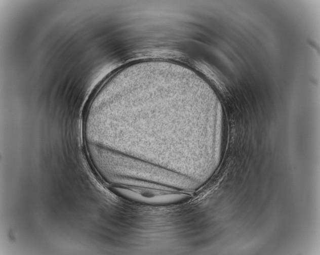 X0000096711079200803041336