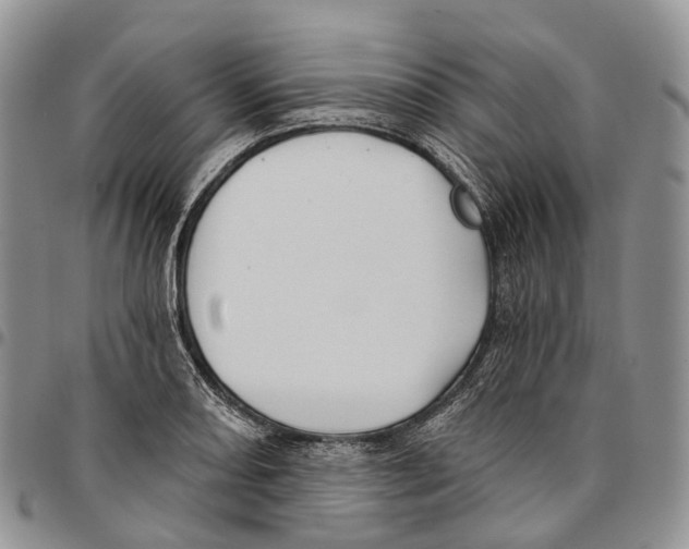 X0000096711082200803041336