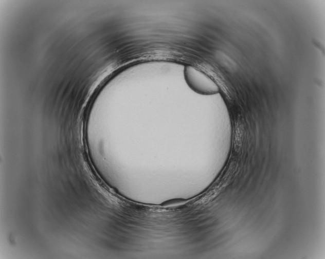 X0000096711083200803041336