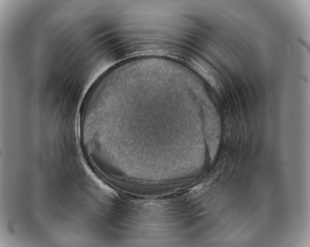 X0000096711084200803041336