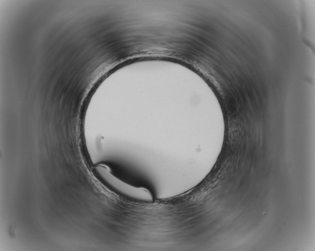 X0000096711085200803041336