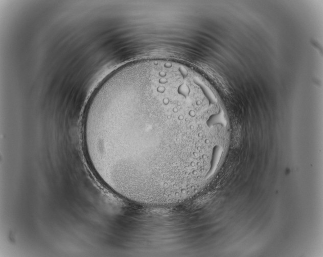 X0000096711086200803041336