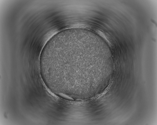 X0000096711087200803041336