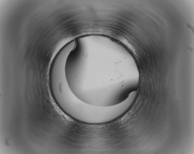 X0000096711088200803041336