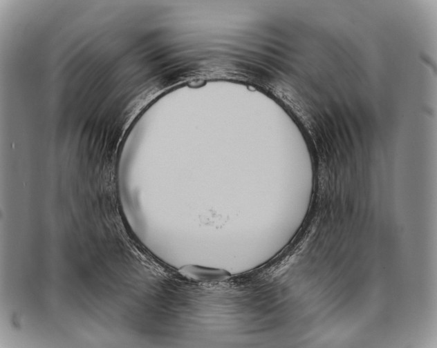 X0000096711089200803041336