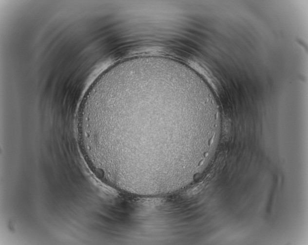 X0000096711090200803041336