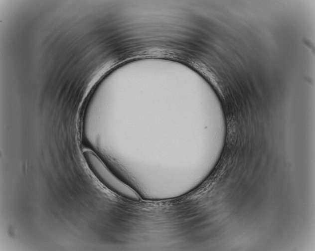 X0000096711091200803041336