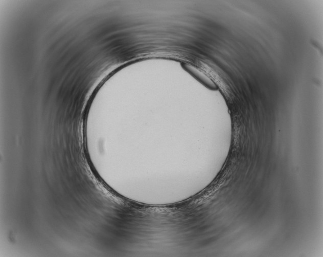 X0000096711092200803041336