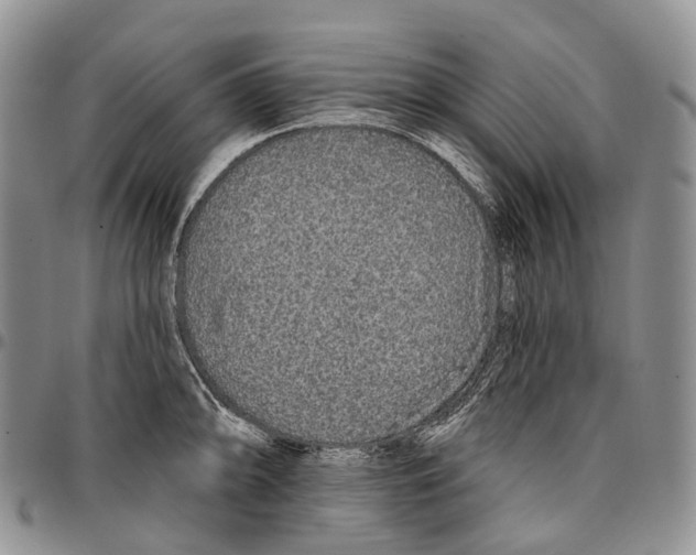 X0000096711094200803041336