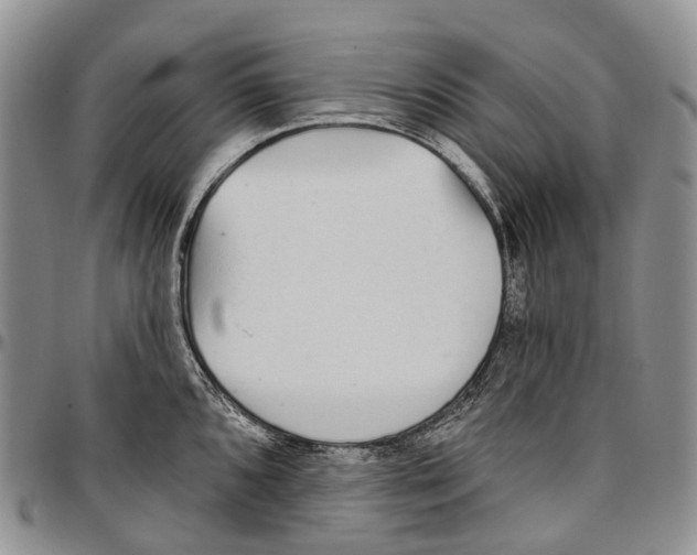 X0000096711096200803041336