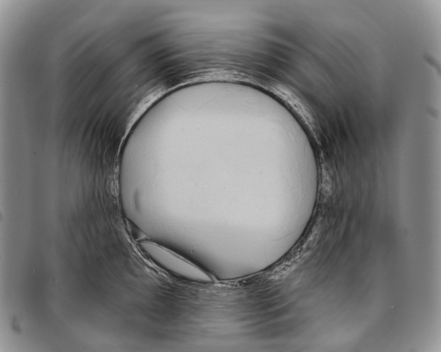 X0000096711097200803041336